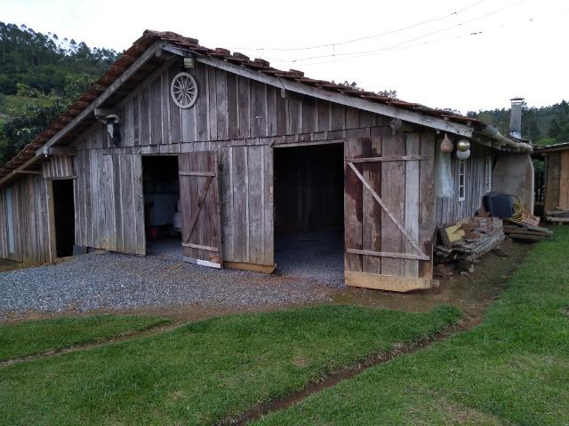 Sitio Palmital Taió-SC 4 hectares - Foto 3