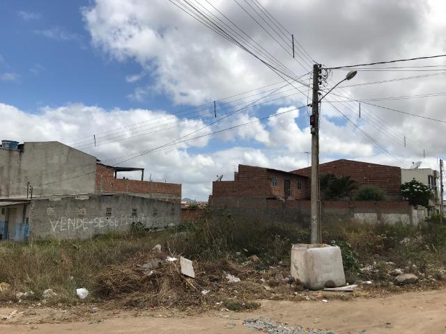 Terreno 10X20 (200,00m²) - Bezerros-PE - Foto 2