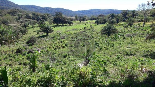 Sítio 26 hectares região da serra são vicente - Foto 17