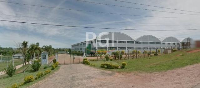 Galpão/depósito/armazém à venda em Cocão, Viamão cod:EV3369