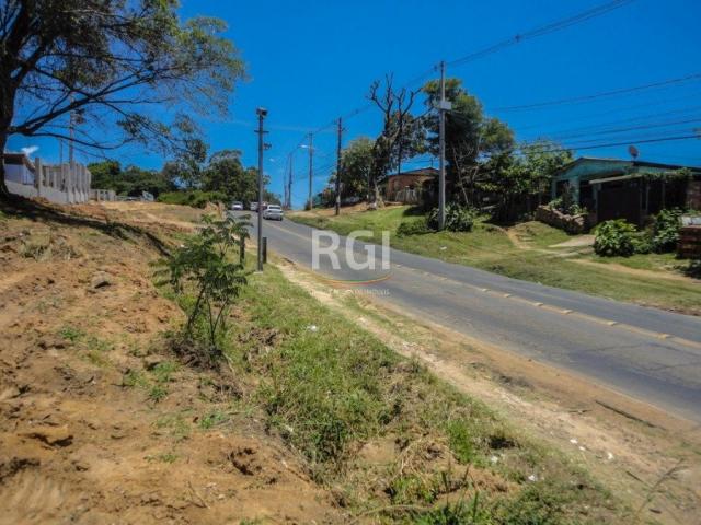 Terreno à venda em Morro santana, Porto alegre cod:CS36007063 - Foto 6