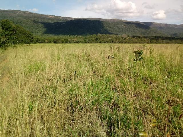 Fazenda entre Jangada e Rosário Oeste com 784 Hectares - Foto 4