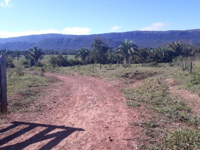 Fazenda entre Jangada e Rosário Oeste com 784 Hectares - Foto 19