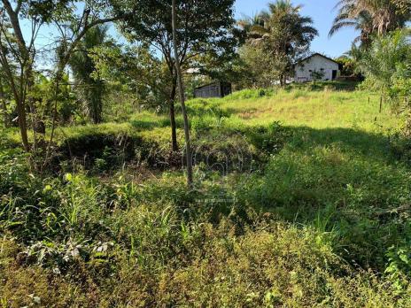 Sítio 26 hectares região da serra são vicente - Foto 16