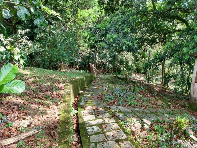 Belíssimo sítio em Guapimirim medindo 5.000m2 oportunidade!!!! - Foto 12