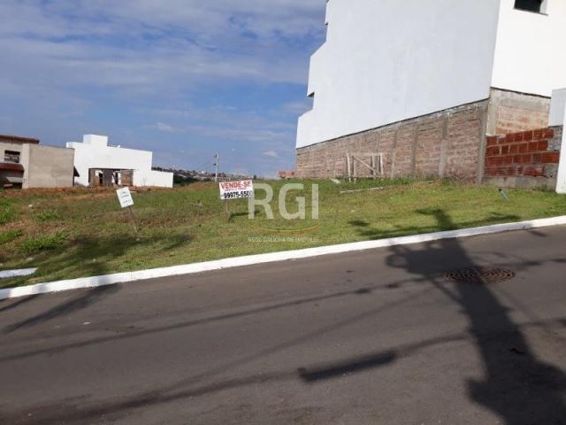 Terreno à venda em Morro santana, Porto alegre cod:MF22186 - Foto 6