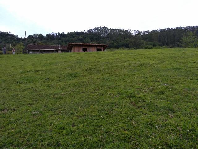 Sitio Palmital Taió-SC 4 hectares - Foto 7