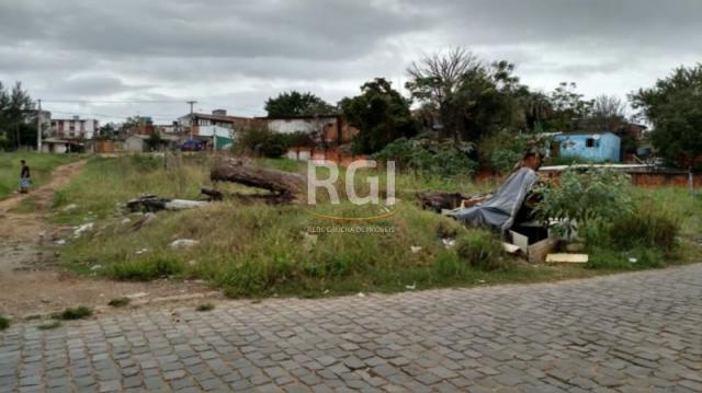 Terreno à venda em Protásio alves, Porto alegre cod:MF21974 - Foto 6