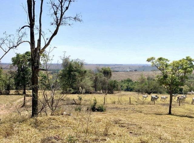 Fazenda em Piracanjuba 13 alqueires - Foto 6