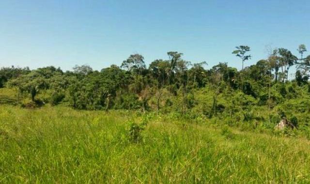 Propriedade Rural 84 Hectares com Título Definitivo - Foto 11
