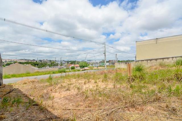 Terreno à venda em Atuba, Curitiba cod:153751 - Foto 16