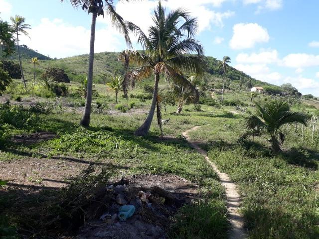 Ótima propriedade de 1.5 hectare, a 7 km da BR de Pombos-PE - Foto 6