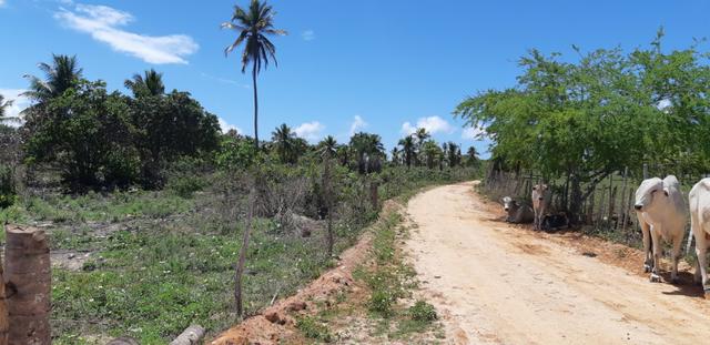 Terreno no Povoado Gameleira/ Areia Branca - Mosqueiro - Foto 5