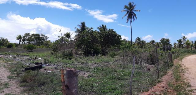 Terreno no Povoado Gameleira/ Areia Branca - Mosqueiro - Foto 7
