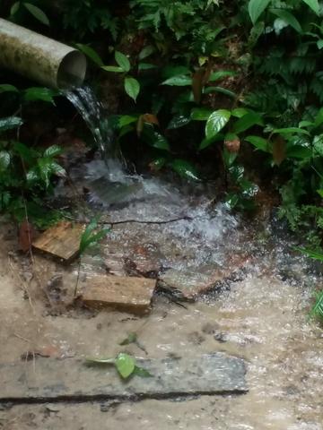 Maravilha de Sitio com Fonte de água Mineral- Troco por casa em Belém