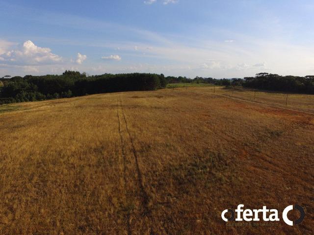 Fazenda com 54 alqueires em Mariental, na Lapa - Foto 19
