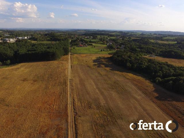 Fazenda com 54 alqueires em Mariental, na Lapa - Foto 15