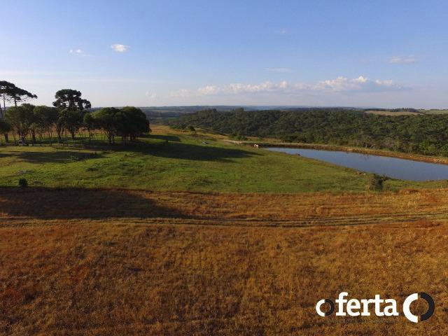 Fazenda com 54 alqueires em Mariental, na Lapa - Foto 10