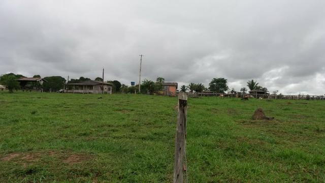 Fazenda - Porto Belo Linha 120 - 900 hectares - Foto 9