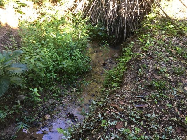 Bon: 2269 Serra do Mato Grosso - Saquarema - Foto 14