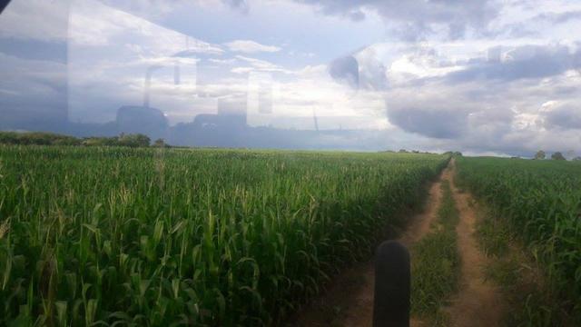Vendo Fazenda Centro do Maranhão com excelente localização,terra teor argila 40/55% - Foto 6