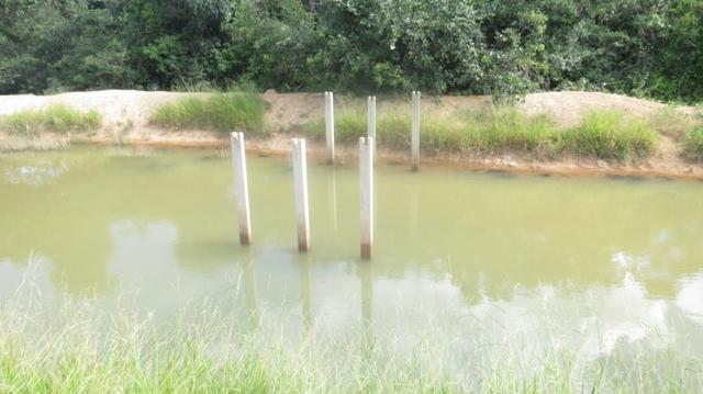 Vende-se Sítio no município de Lagamar 56 Hectares - Foto 5