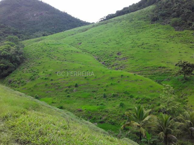 Santa Leopoldina Fazendinha escriturada - Foto 4