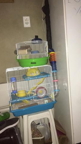 Vendo casal de hamster com gaiolas - Foto 2