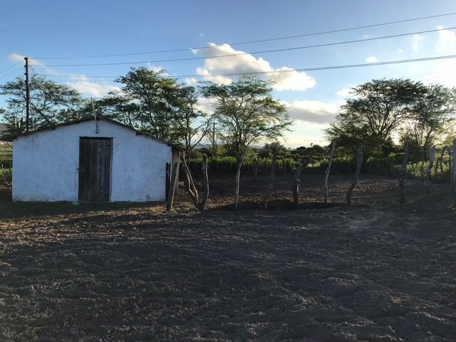 Sítio - Foto 5