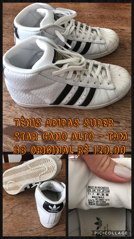 tenis superstar cano alto