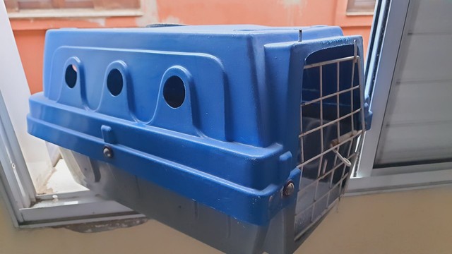 caixa de transporte de pets