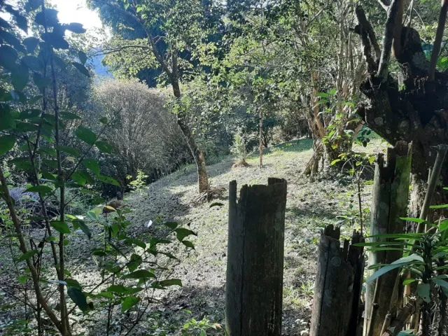 Chácara Canaã II - Jambeiro - SP - Foto 4