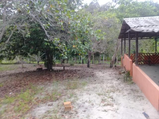 Manacapuru Lindo sitio em, km 69, ramal do Acajatuba com casa mobiliada e igarapé - Foto 8