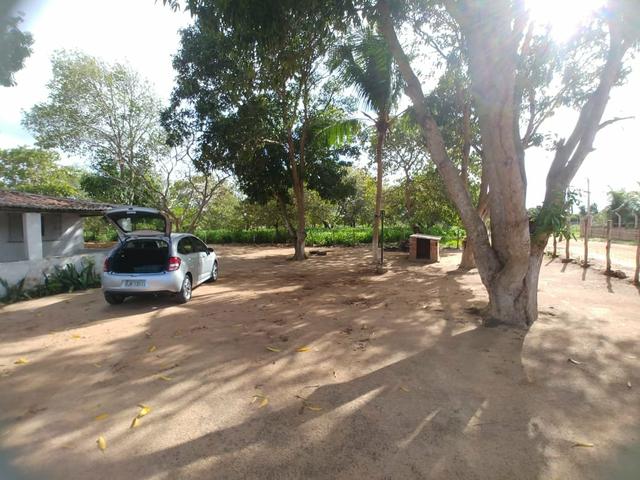 Granja com 8.8 hectares próximo da reta tabajara - Foto 7