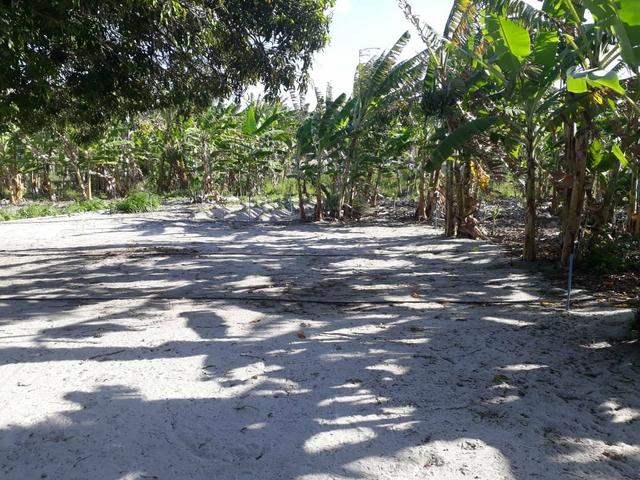 Granja estruturada em lagoa salgada 100% irrigada - Foto 3