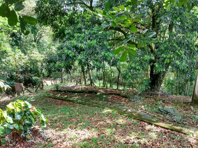 Belíssimo sítio em Guapimirim medindo 5.000m2 oportunidade!!!! - Foto 14