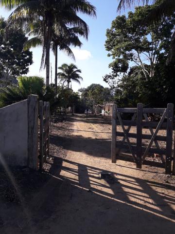 Fazendinha em valença