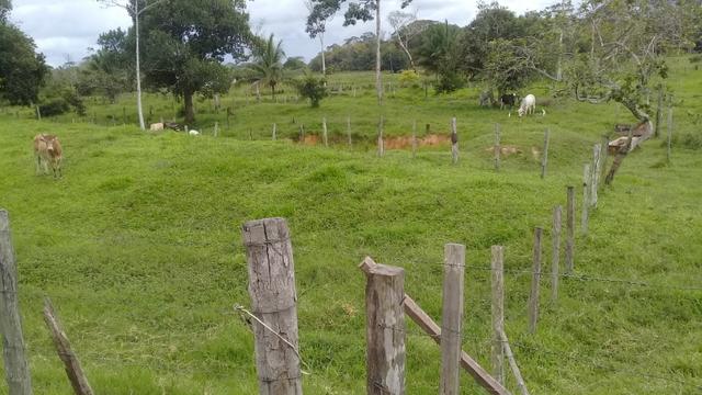 Fazenda pra ser feliz - Foto 18