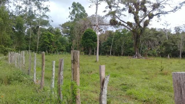 Fazenda pra ser feliz - Foto 20
