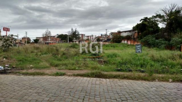 Terreno à venda em Protásio alves, Porto alegre cod:MF21974 - Foto 4