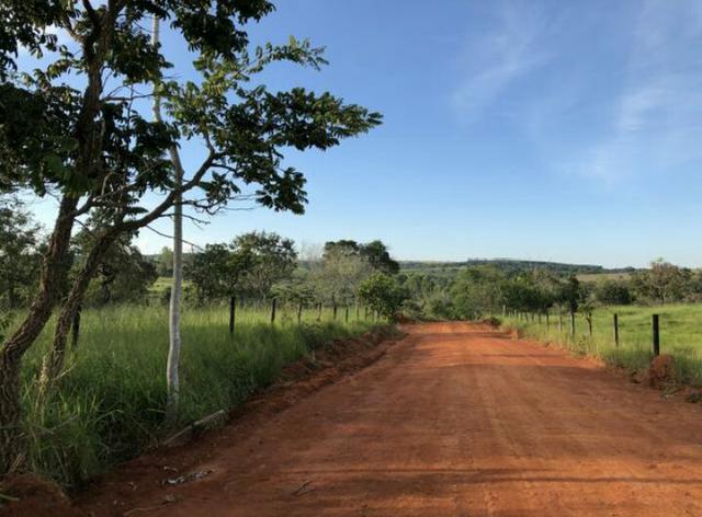 Propriedade Rural 84 Hectares com Título Definitivo - Foto 10