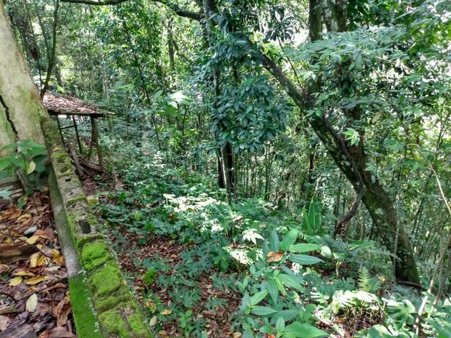 Belíssimo sítio em Guapimirim medindo 5.000m2 oportunidade!!!! - Foto 17