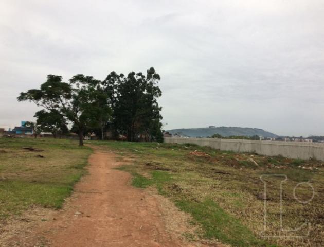 Terreno à venda em Rubem berta, Porto alegre cod:LU271167 - Foto 2