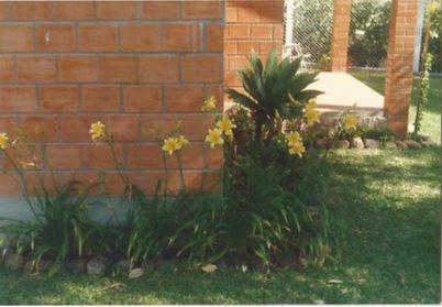 Sítio à venda em Centro, Eldorado do sul cod:LU260973 - Foto 3