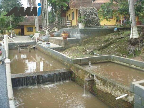 Sitio em piçarras, campo de futebol, galpão, casa, piscina - Foto 11