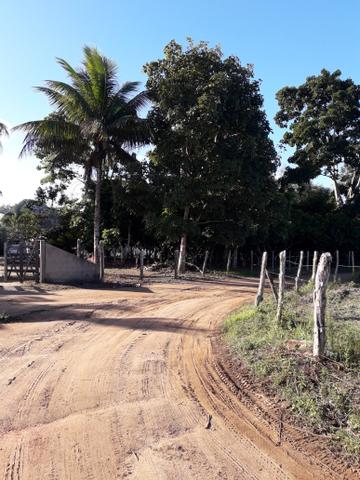 Fazendinha em valença - Foto 4