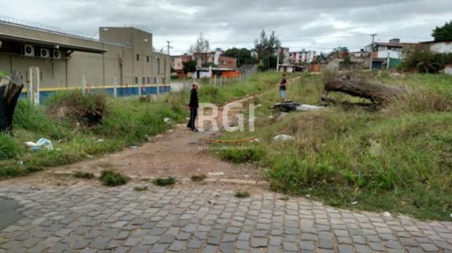 Terreno à venda em Protásio alves, Porto alegre cod:MF21974