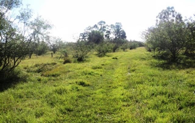 Terreno à venda em Parque eldorado, Eldorado do sul cod:LU261207 - Foto 4