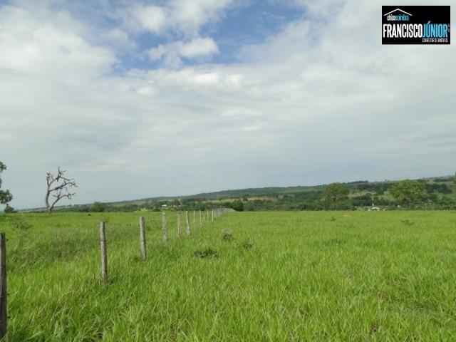 Fazenda em Piracanjuba, perto de Goiânia, 13 Alqueires de pura beleza, frente para rodovia - Foto 14