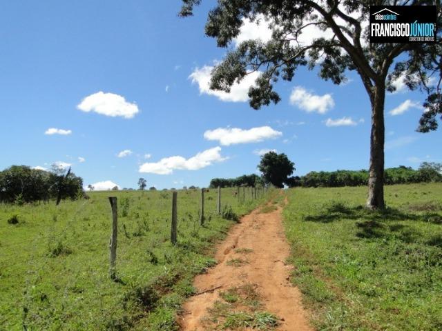 Fazenda em Piracanjuba, perto de Goiânia, 13 Alqueires de pura beleza, frente para rodovia - Foto 7